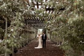 However as we have read in another. Calgary Saskatoon Farm Wedding Willow And Wolf Banff Elopement Photographers