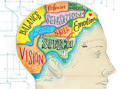 Image result for cognitivism