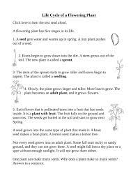 Plant life cycle stages worksheet. Life Cycle Of A Flowering Plant Worksheet