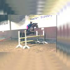 Reitabzeichen iv höhe springen, bei euch? Entspricht Die Grosse Dieses Hindernisses Einem L Springen Reiten Tunier Hindernisse