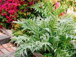 Welcome to the famous dave's garden website. Chart How Much To Plant For A Year S Worth Of Food Garden Betty
