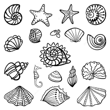 Wunderbare muschelrezepte von muschelsuppe bis spaghetti vongole. Muschel Malvorlage