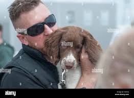 Annual dog show hi-res stock photography and images