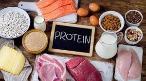 Check spelling or type a new query. Lebih Baik Mana Perbanyak Protein Hewani Atau Nabati Bagi Keluarga Kumparan Com