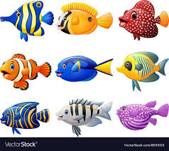 Fish Cartoon Set Vector Image On Vectorstock Cartoon Fish Cartoon Cartoon Lion