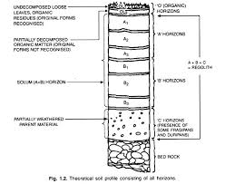 notes on soil profile with diagram