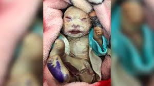 Image result for Harlequin Color Change