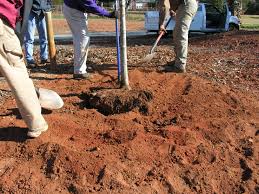 By replenishing nutrients when your plants need them most, you can. Planting Trees Correctly Home Garden Information Center