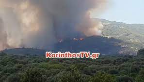 Συναγερμό έχει προκαλέσει στις πυροσβεστικές δυνάμεις η φωτιά που ξέσπασε το μεσημέρι του σαββάτου στη ζήρια αχαΐας. Lcehaldghvojvm