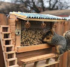 I Made A Squirrel Bar Squirrel Feeder Diy Squirrel Feeder Diy Bird Feeder