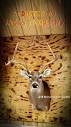 Addicted To Racks Taxidermy