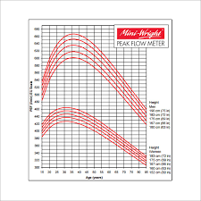 31 Correct Peak Flow Chart By Height