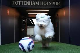 Get the spurs sports stories that matter. Spurs Painted Into A Corner By New Sponsor S Deleted Tweets Cartilage Free Captain