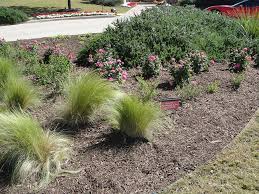 At its simplest, xeriscaping is about selecting plants that can thrive in the landscape with as little supplemental water as possible. How To Xeriscaping Your Home Or Business Landscape