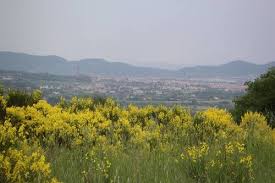 You can use the special requests box when booking, or contact the property directly with the contact details provided in your confirmation. Book La Casa Delle Rose Di Maria In Arezzo Hotels Com