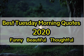 Plus, these tuesday morning quotes will remind you of one important thing: Tuesday Morning Quotes 2021 Funny Beautiful And Thoughtful Quotes