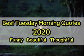 Tuesday Morning Quotes 2021 Funny Beautiful And Thoughtful Quotes Brian cagneey motivational quotes about life be motivated this tuesday to be your best!