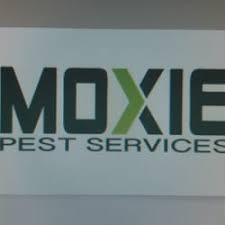 Js pest control provides pest control in the north las vegas area, nevada. Moxie Pest Control Riverside 29 Photos 259 Reviews Pest Control 6985 Arlington Ave Riverside Ca Phone Number Yelp