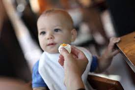 Fleisch das forschungsinstitut fur kinderernahrung in dortmund fke empfiehlt taglich mind. Honig Nusse Eier Ab Wann Dein Baby Was Essen Darf Babyartikel De