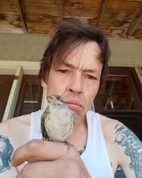 Sobriety and Backyard Bird Visitors