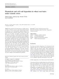 A plant cell placed in a certain solution got plasmolysed. Pdf Plasmolysis And Cell Wall Deposition In Wheat Root Hairs Under Osmotic Stress