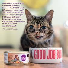 Halo Grain Free Natural Wet Cat Food Variety Pack With Chicken Salmon And Turkey 5 5ounce Can Pack Of 12 You Can Find Dry Cat Food Canned Cat Food Cat Food