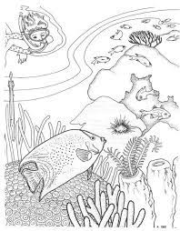 Tropical Fish Coloring Page Free Printable Coloring Pages Ocean Coloring Pages Fish Coloring Page Coloring Pages