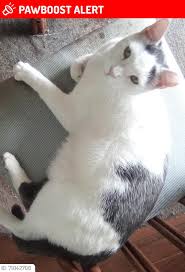 🙏🙏 We really need to find Charlie. Can anyone help?