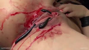 Leeches in pussy