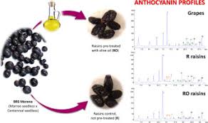 Check spelling or type a new query. Effect Of The Pre Treatment And The Drying Process On The Phenolic Composition Of Raisins Produced With A Seedless Brazilian Grape Cultivar Sciencedirect