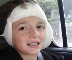 Virginia's Resource Guide