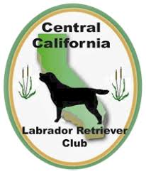 We are in the inland empire here in southern california which is a excellent location to find a. California Labrador Retriever Breeder Akc Lab Puppies Chocolate Black Yellow