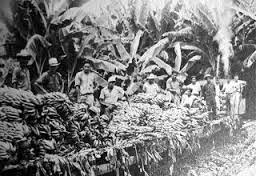 En guatemala, la united fruit obtuvo el control de, virtualmente, todos los medios de transporte y. The Revolution Of 1944 And The Coup Of 1954 In Guatemala Gangs And The Criminal Community
