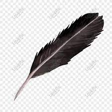 ريشة سوداء black feathers image feather