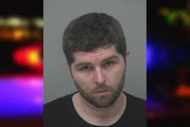 Alexander Fox — Gwinnett County Jail Bookings