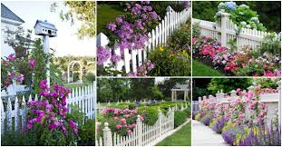 This picture shows a back garden with walls built of half stone and half wood. White Picket Fence Garden Ideas That Will Make You Say Wow Top Dreamer