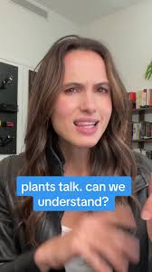 plants talk. can we understand? a group of scientists built soundproofed  acoustic boxes with ultrasonic microphones