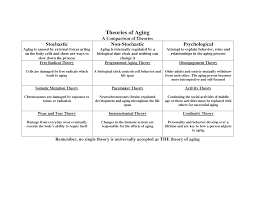 Theories Of Aging Theories Of Aging Nursing Theory Aging