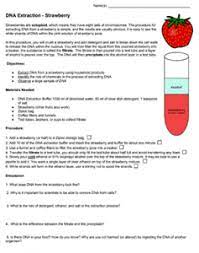This simple method allows you to extract dna from a strawberry and view it. Dna Extraction Strawberry