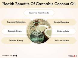 Coconut oil is an amazing ingredient that has many benefits to improve the health and condition of your hair. Benefits Of Cannabis Coconut Oil And Its Side Effects Lybrate