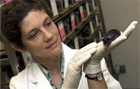 A Mouse for Every Gene