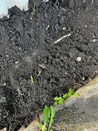 Image result for site:byggahus.se elledning