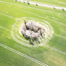 Fruhling Die Natur Wird Wieder Fotogen Dji Mavicpro Dronestagram Aerial Dronefly Dronepix Drohne Vonoben Copterfreundethuringen Drones Earthp Drohne