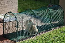diffe types of cat enclosures