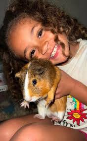 The Emotional Impact of Pets