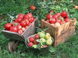 Serviciul public comunitar de evidența a persoanei. Programul NaÈ›ional De Dezvoltare RuralÄƒ Camera De Comert Industrie Si Agricultura Dambovita