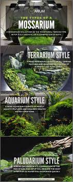 Mossarium Complete Care Guide How To Build Moss Terreriums In 2020 Moss Terrarium Plants Terrarium Plants