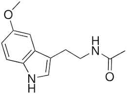 After this time, only half of the quantity of melatonin that you consumed remains in your system. Melatonin Wikipedia