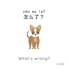 Mandarin Chinese Video Flashcard Chinese Language Chinese Phrases Mandarin Chinese Learning