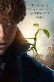 There Are No Strange Creatures Just Blinkered People Newt Scamander Fantastic Beasts 2 The C Fantastic Beasts Harry Potter Fantastic Beasts Fantasic Beasts